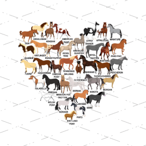 Horses Breeds Sublimation Shirts